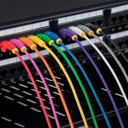 image-Category 6 Hard UTP RJ45 Cable Startech N6PAT7MPKS Pink 7 m