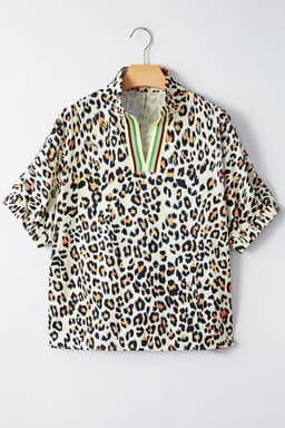 image-Sky Blue Leopard Striped V Neck Blouse