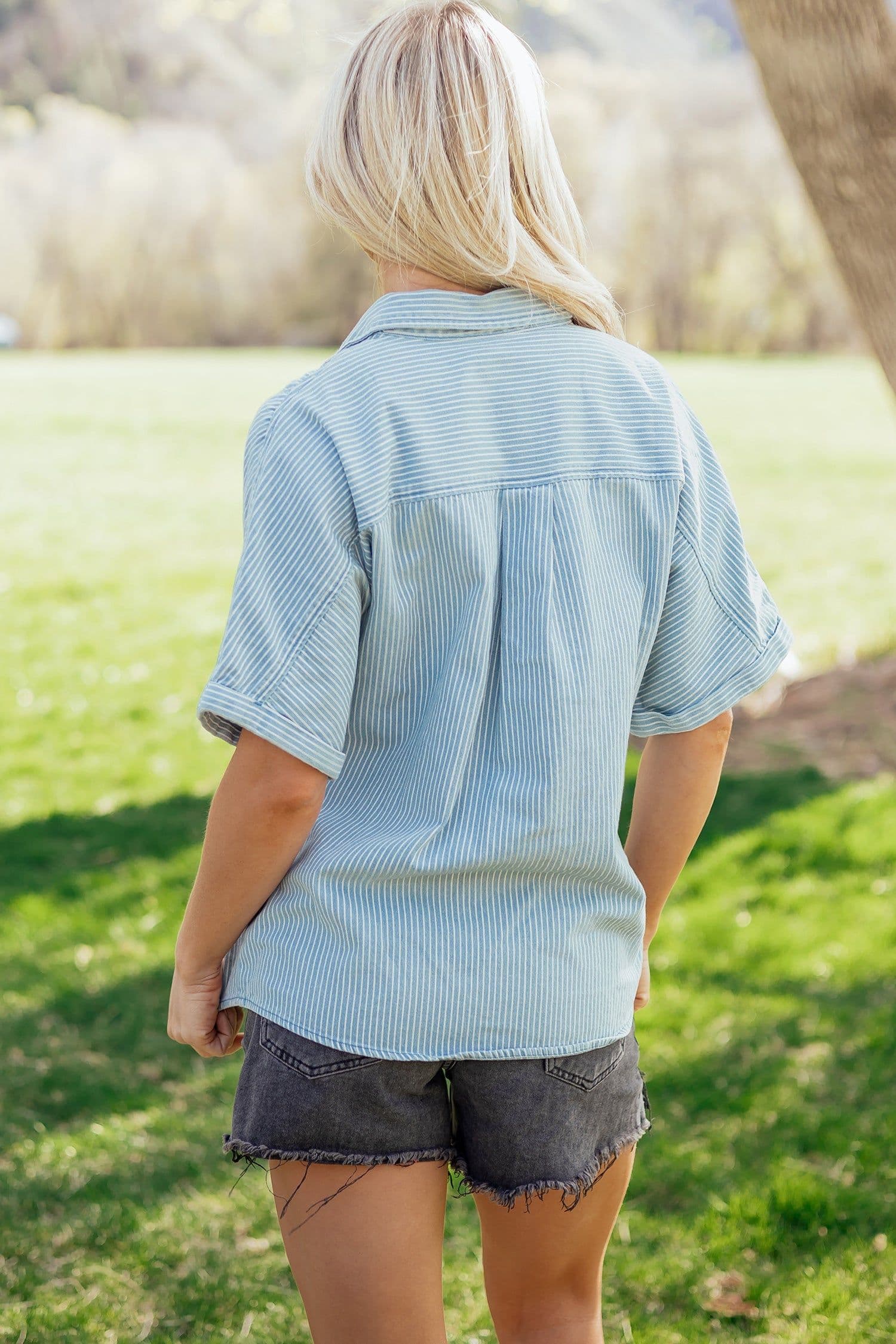 image-Sky Blue Stripe Short Sleeve Button Up Shirt