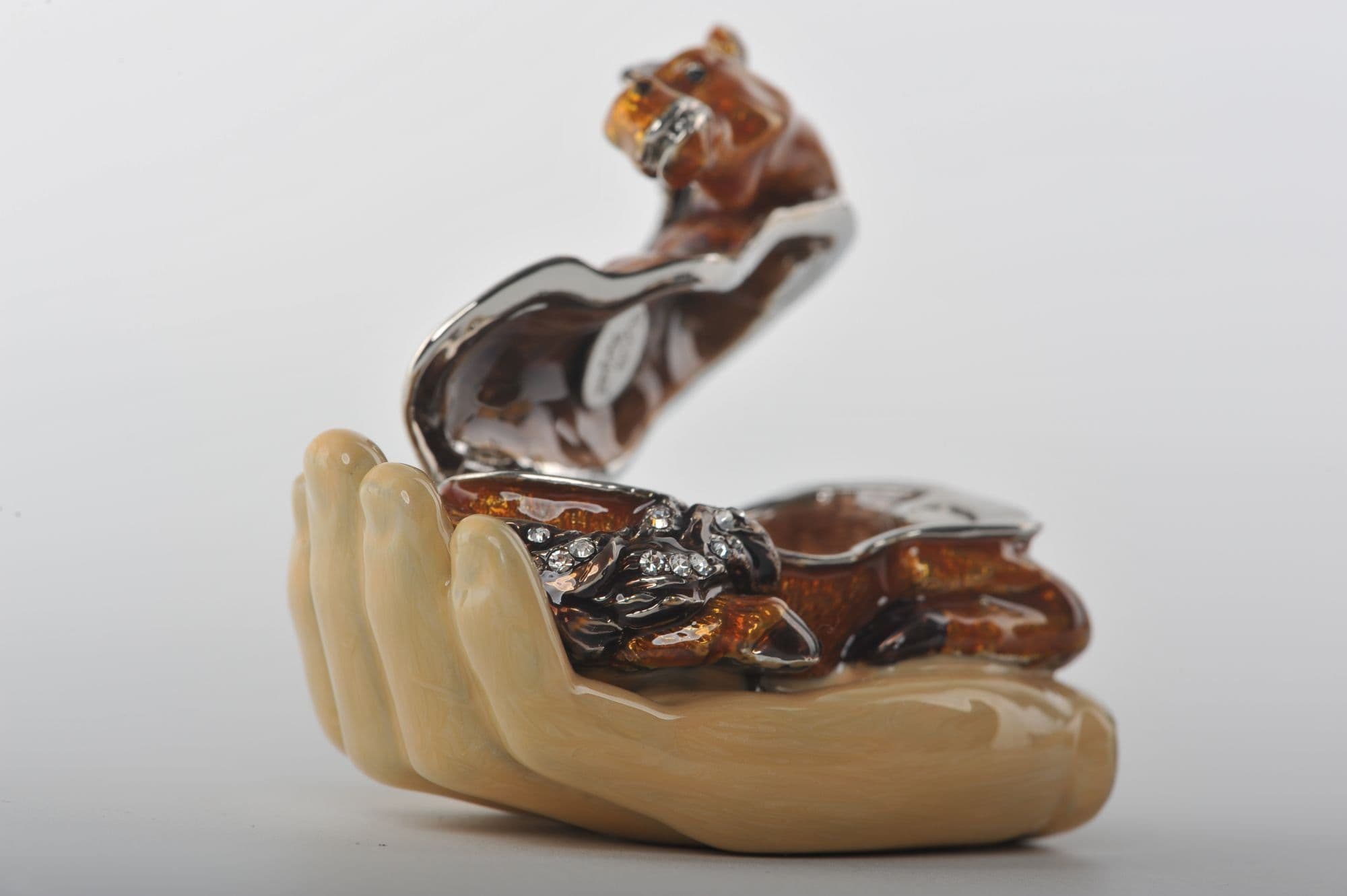 image-Zodiac Horse Laying on Hand