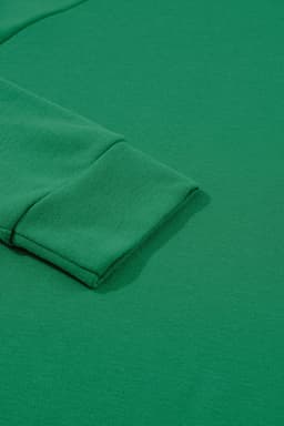 image-Green Solid Round Neck Raglan Sleeve Sweatshirt