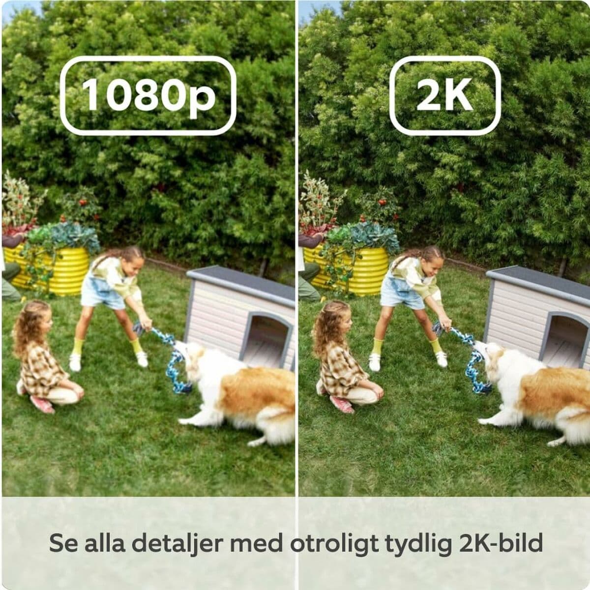 image-Surveillance Camcorder Amazon B0D23Y1N3Y