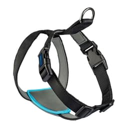 image-Dog Harness Company of Animals CarSafe Black XS