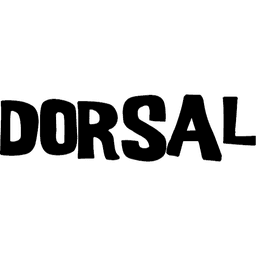 image-Dorsal Universal Soft Racks with Car Roof Pads Tie Down Straps Storage