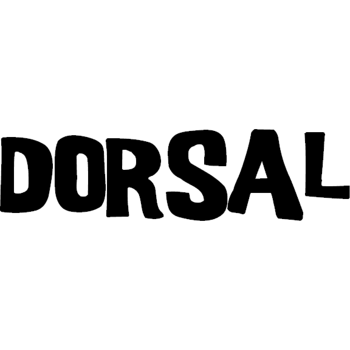 image-Dorsal Universal Soft Racks with Car Roof Pads Tie Down Straps Storage