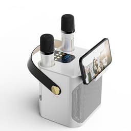 image-Dual Stereo Portable Karaoke