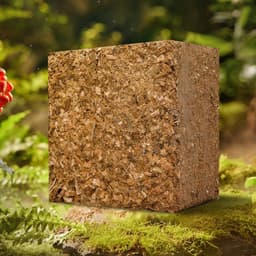 image-Coconut Bran Flower Succulent Seedling Vegetable Flower Green Plant Soilless Cultivation Substrate Coconut Shell Brick