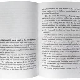 image-The English Version of The Novel Hatchet Boy Hatchet Short Axe Newbury Award Children's Picture Book Award