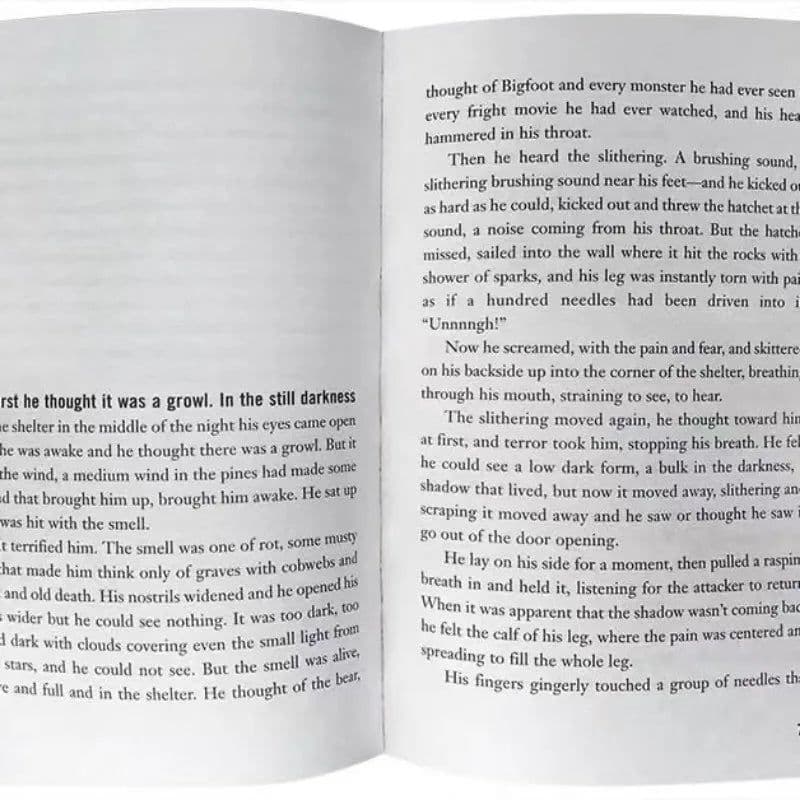 image-The English Version of The Novel Hatchet Boy Hatchet Short Axe Newbury Award Children's Picture Book Award