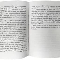 image-The English Version of The Novel Hatchet Boy Hatchet Short Axe Newbury Award Children's Picture Book Award