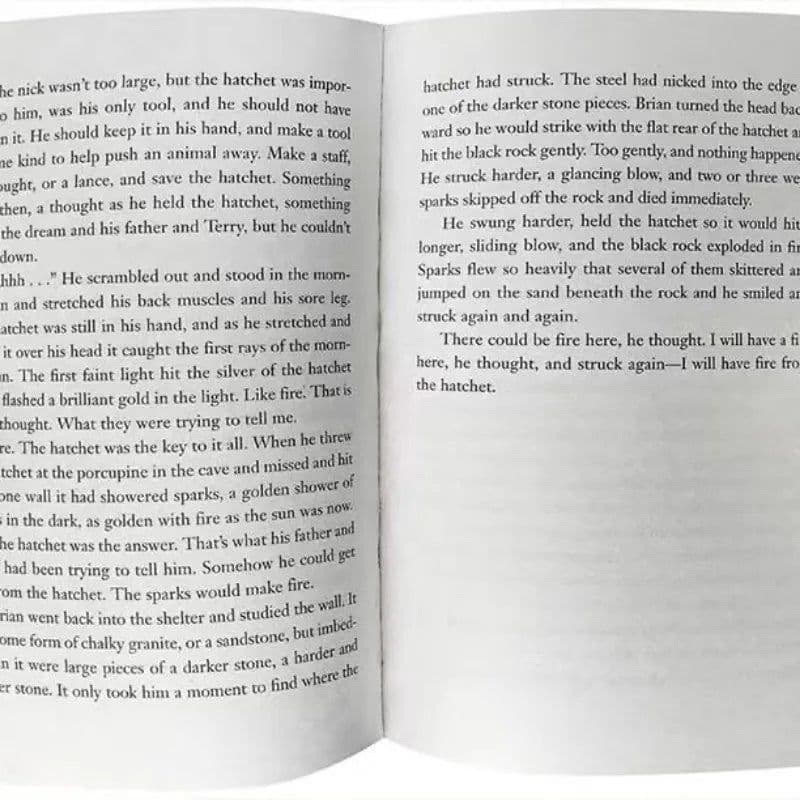 image-The English Version of The Novel Hatchet Boy Hatchet Short Axe Newbury Award Children's Picture Book Award