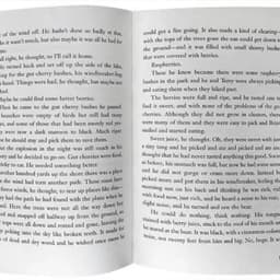 image-The English Version of The Novel Hatchet Boy Hatchet Short Axe Newbury Award Children's Picture Book Award