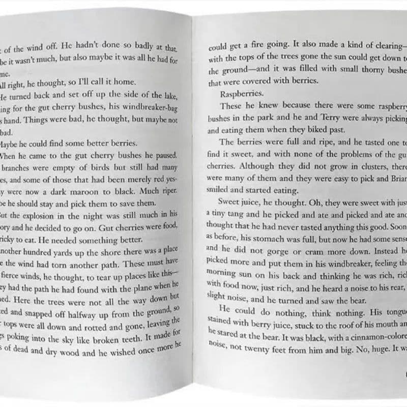 image-The English Version of The Novel Hatchet Boy Hatchet Short Axe Newbury Award Children's Picture Book Award