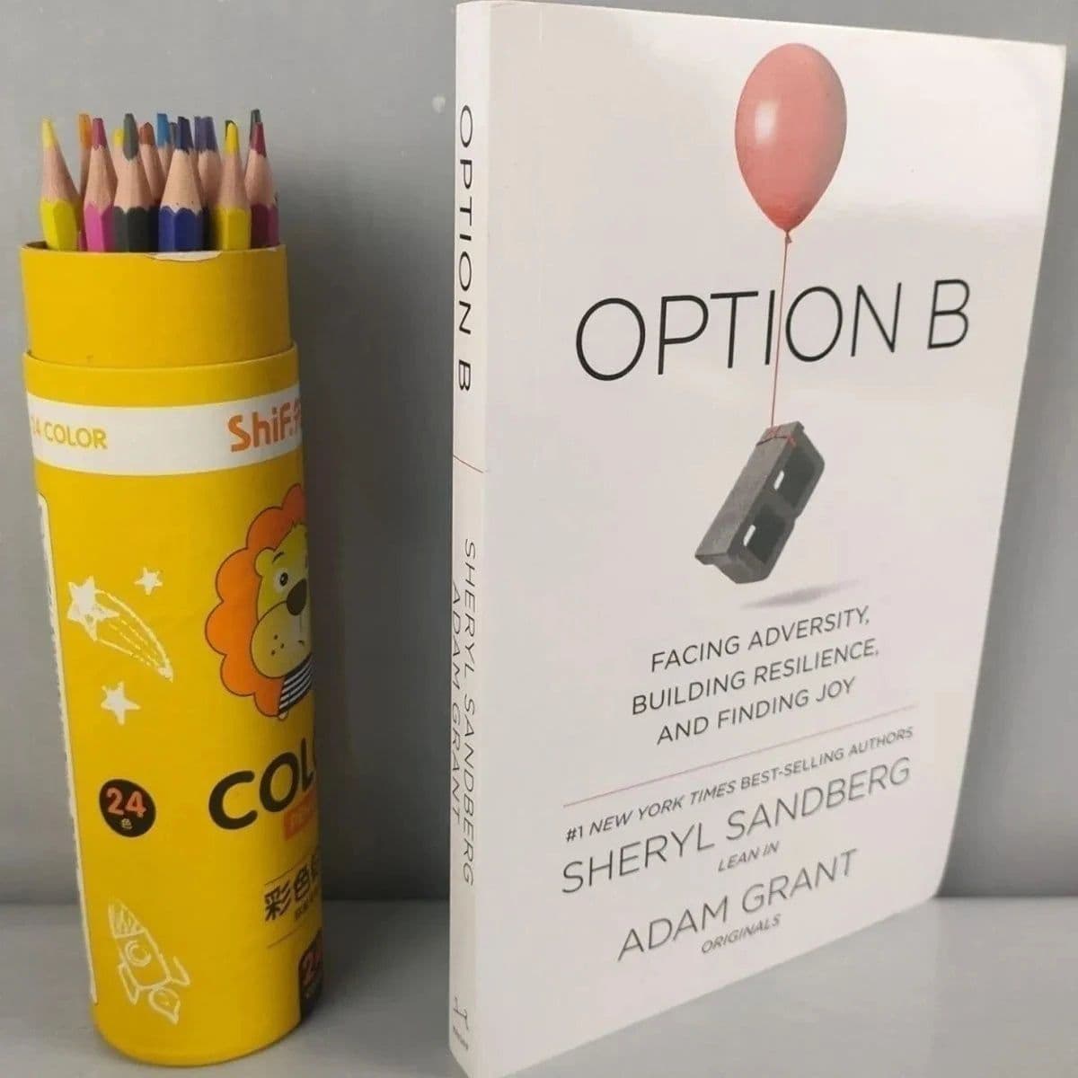 image-Option B Sandberg Sheryl Facing Adversity, Building Resilience English Original Novels Reading Books for Teenagers Adult books