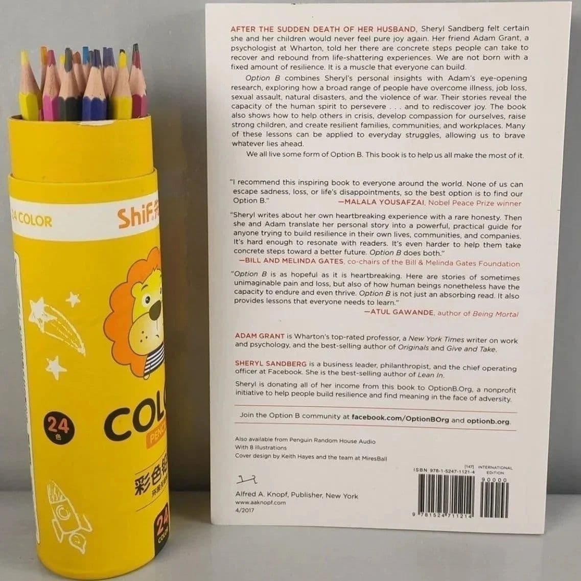 image-Option B Sandberg Sheryl Facing Adversity, Building Resilience English Original Novels Reading Books for Teenagers Adult books