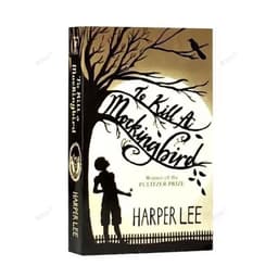 image-To Kill A Mockingbird Students Read Novels and Books English Book