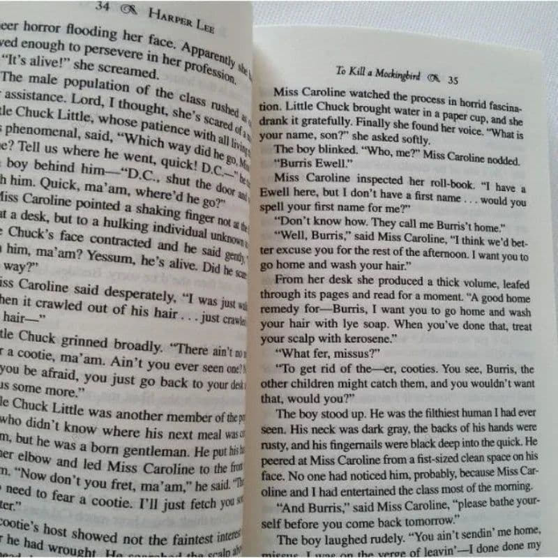 image-To Kill A Mockingbird Students Read Novels and Books English Book