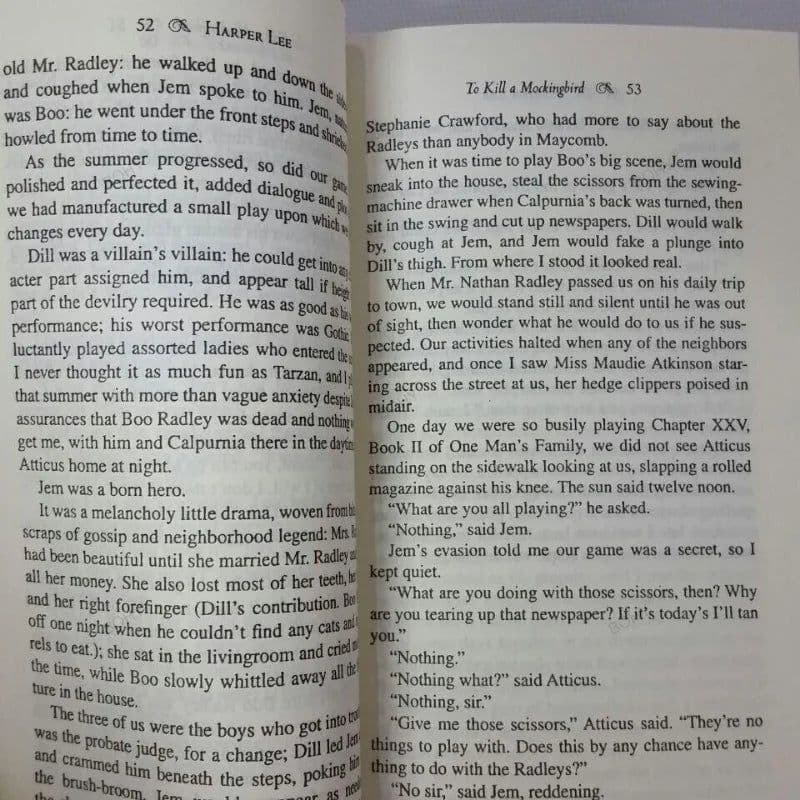 image-To Kill A Mockingbird Students Read Novels and Books English Book
