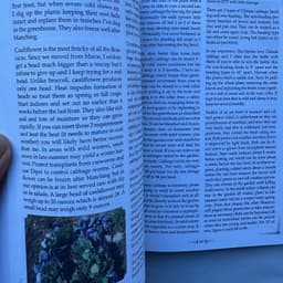 image-The Self Sufficient Backyard for The Independent Homesteader Paperback English Book