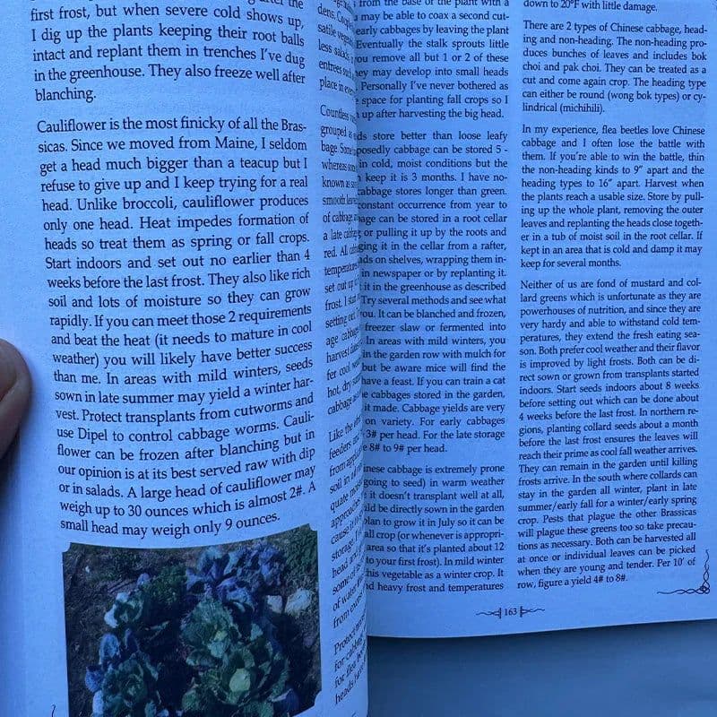 image-The Self Sufficient Backyard for The Independent Homesteader Paperback English Book