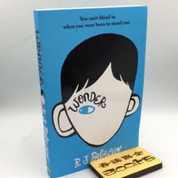 image-Wonder Wonder Boy Inspirational Novel R.J. Palacio English Original English Book Extracurricular Reading