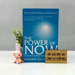 image-The Current Power The Power of Now By Eckhart Tolle Inspirational Novel Book Libro