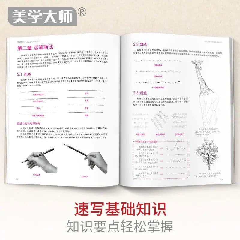 image-Sketching Technique Tutorial Entry Copy Painting Book Flower Animal Landscape Character Pencil Hand Children'S Beginners
