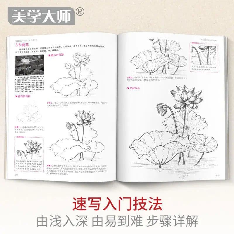 image-Sketching Technique Tutorial Entry Copy Painting Book Flower Animal Landscape Character Pencil Hand Children'S Beginners