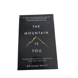 image-The Mountain Is You: Transforming Self-Sabotage Into Self-mastery English Books