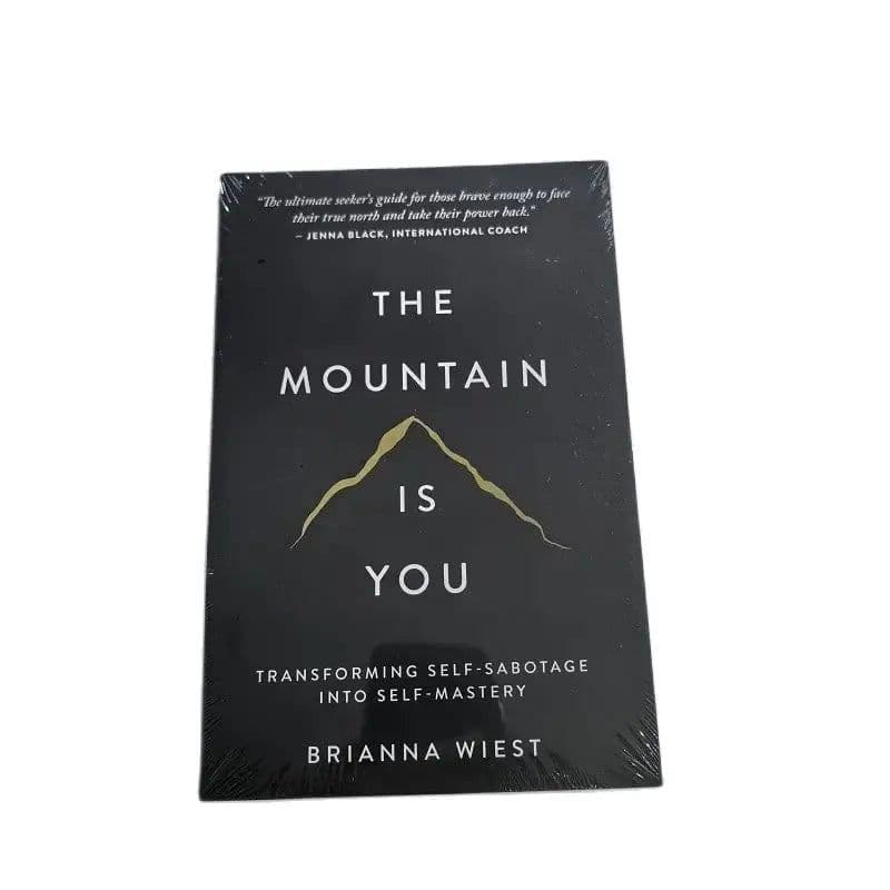 image-The Mountain Is You: Transforming Self-Sabotage Into Self-mastery English Books