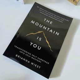 image-The Mountain Is You: Transforming Self-Sabotage Into Self-mastery English Books