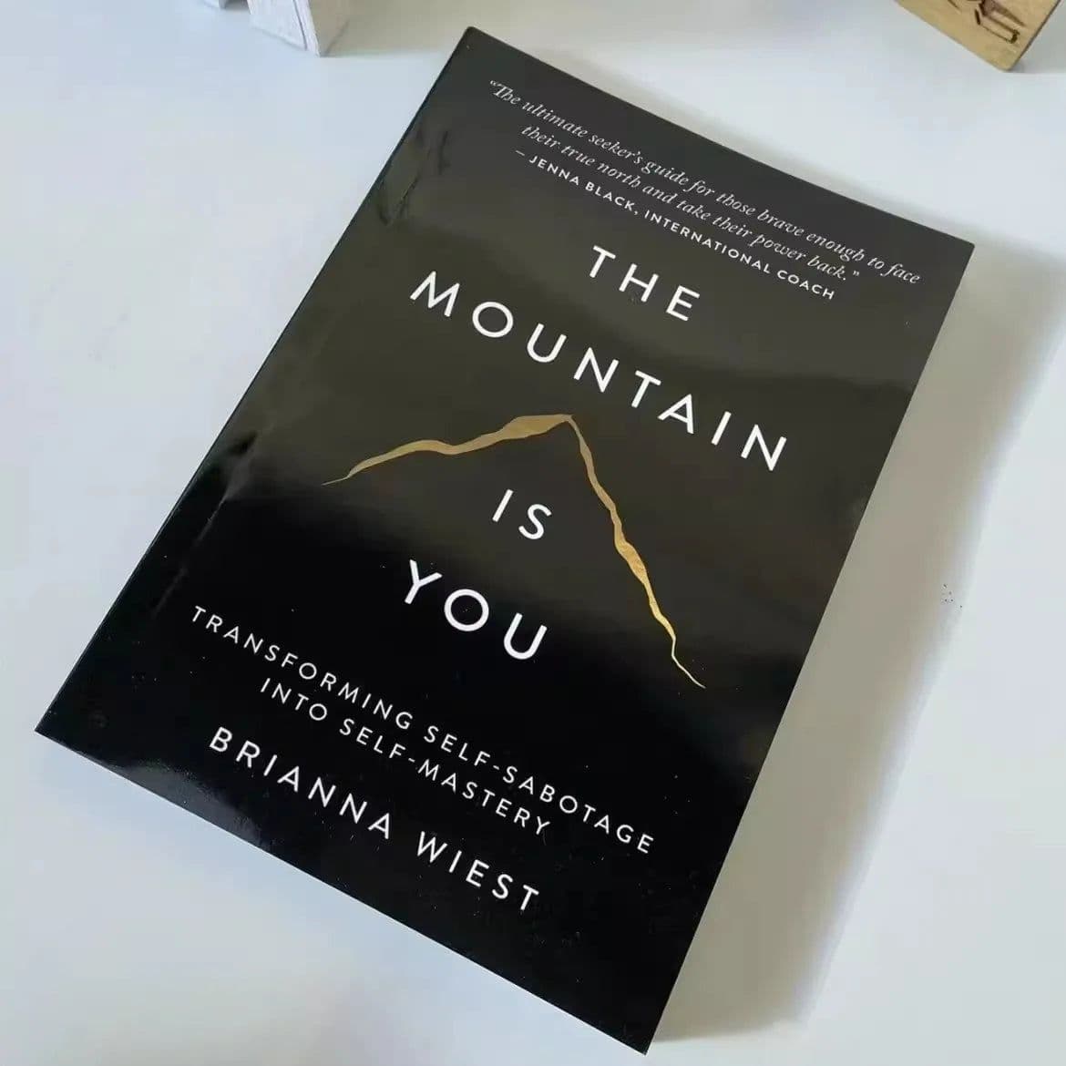 image-The Mountain Is You: Transforming Self-Sabotage Into Self-mastery English Books