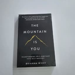 image-The Mountain Is You: Transforming Self-Sabotage Into Self-mastery English Books