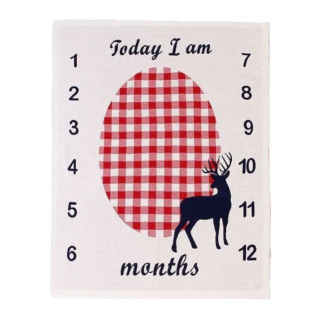 image-Memorial baby blanket