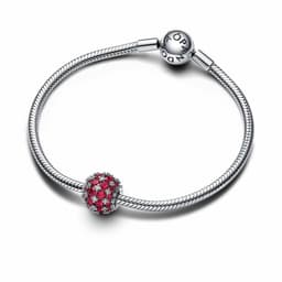 image-Woman's charm link Pandora 792630C03