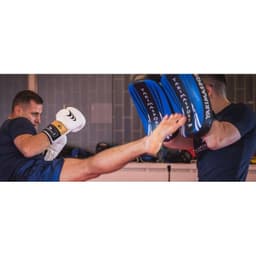 image-Boxing gloves Yakmaspor lion 12 oz 10034212OZ