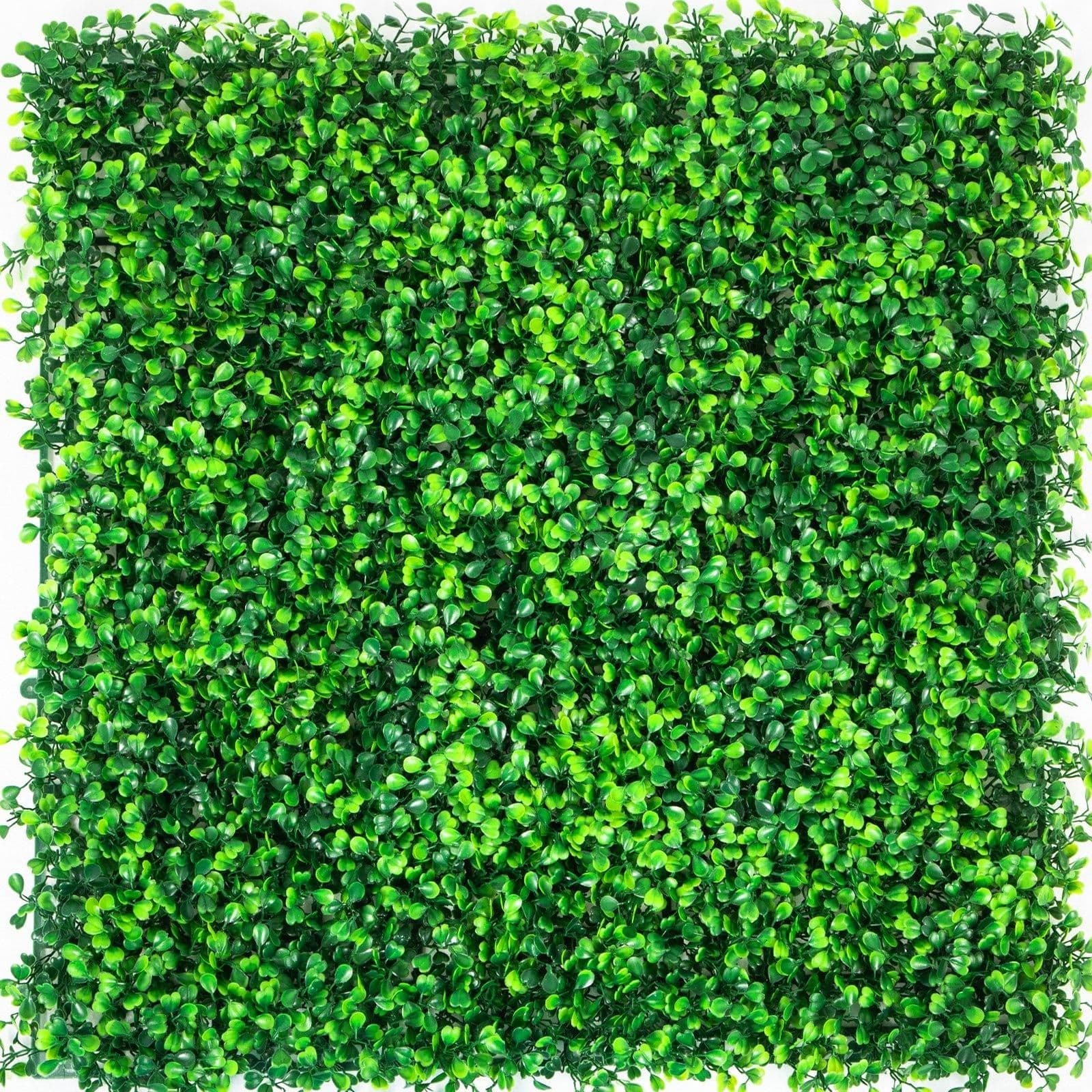 image-VEVOR Artificial Boxwood Panels, 20 PCS 20"x20" Boxwood Hedge Wall Panels, PE Artificial Grass Backdrop Wall 1.6", Privacy Hedge Screen for Decoration of Outdoor, Indoor, Garden, Fence, and Backyar
