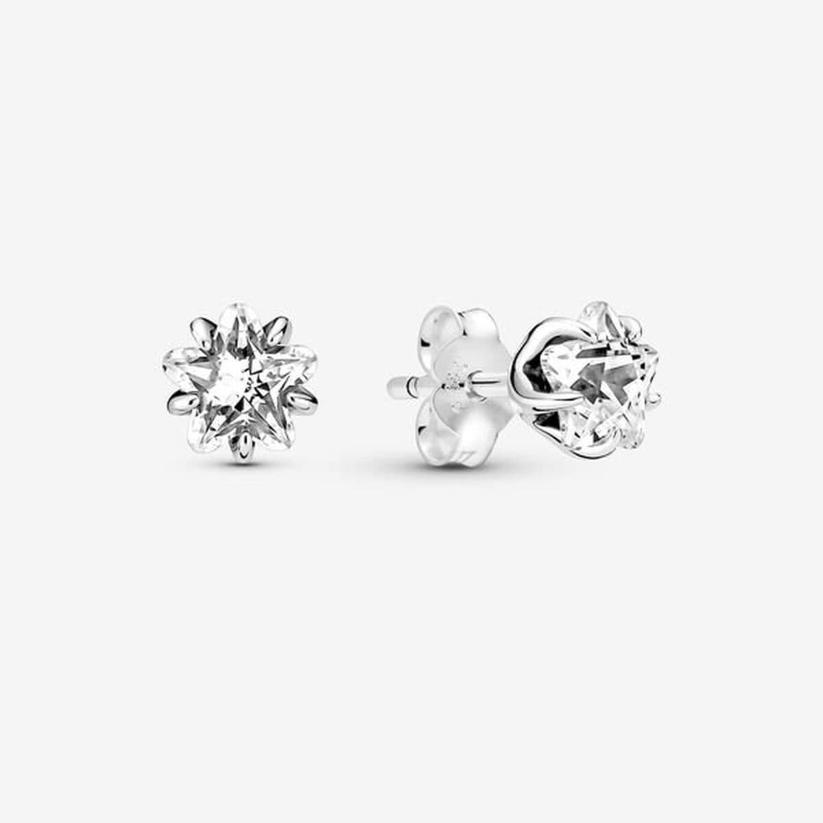 image-Ladies' Earrings Pandora 290023C01
