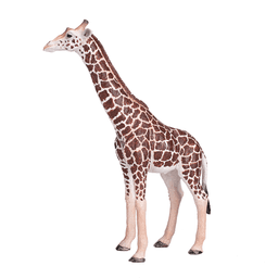 image-Giraffe Male Toy Realistic African Wildlife Figure