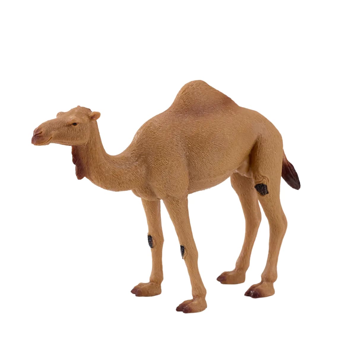 image-Arabian Camel Toy Realistic Desert Animal Model