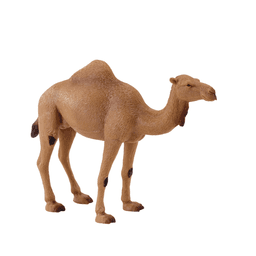 image-Arabian Camel Toy Realistic Desert Animal Model