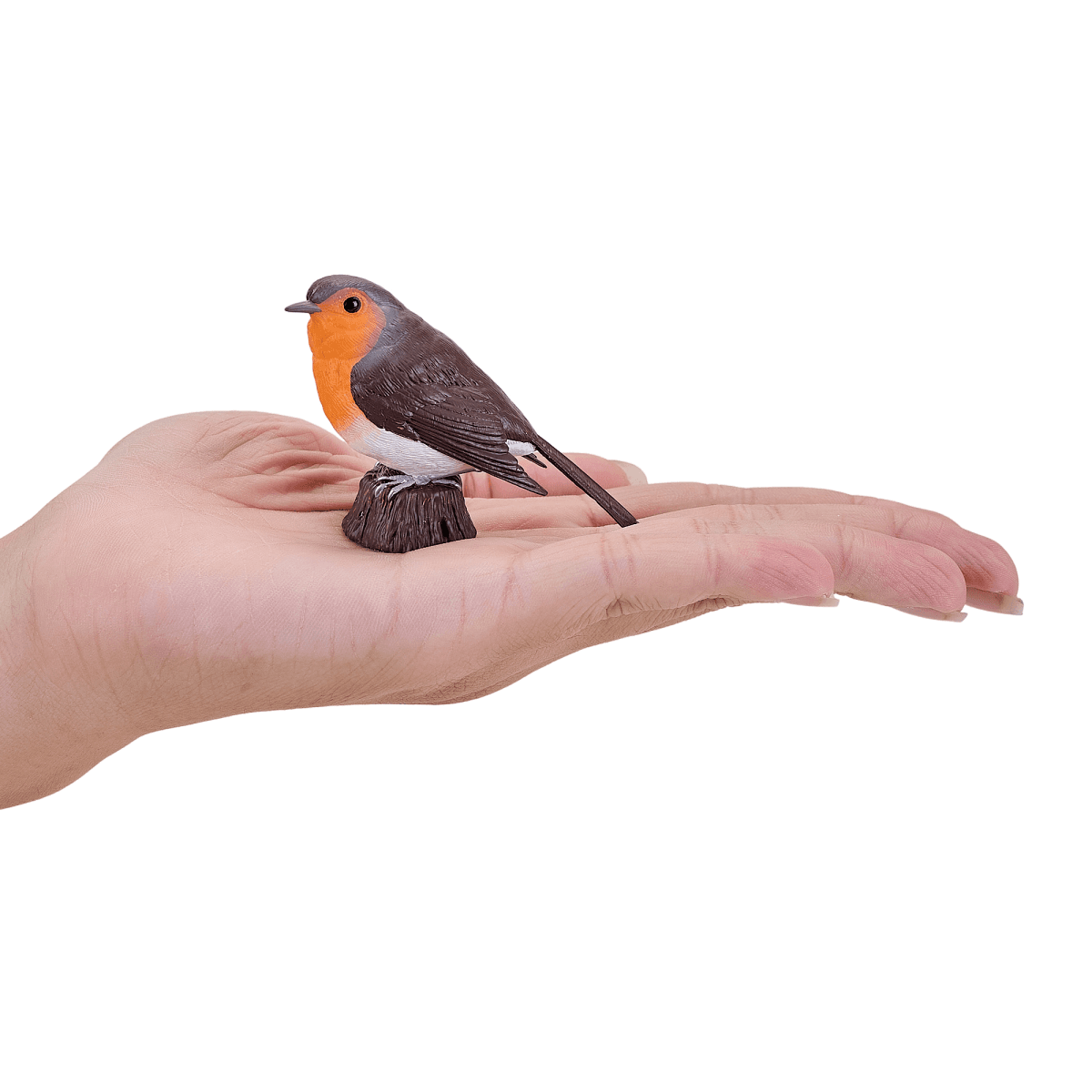image-Robin Bird Toy Realistic Wildlife Figurine