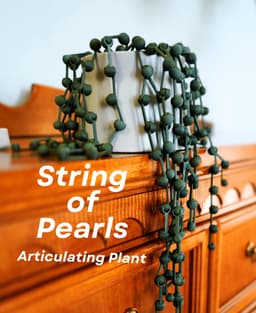 image-String of Pearls Articulating Plant | 3D Printed Succulent Decor | Customizable Hanging Plant Replica | DIY Assembly Kit | Faux Houseplant
