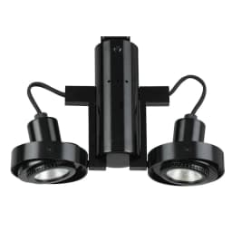 image-12V, MR-16, 2 Lights, 50W Max Ea Tr