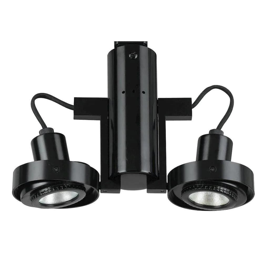 image-12V, MR-16, 2 Lights, 50W Max Ea Tr