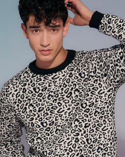 image-Leopard Wool & Cashmere Knitted Jumper