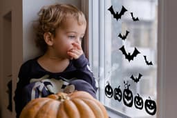 image-Halloween Window Decals - Spooky Delights with Festive Pumpkins and Bats Display Stickers