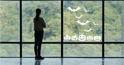 image-Halloween Window Decals - Spooky Delights with Festive Pumpkins and Bats Display Stickers