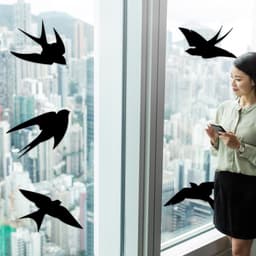 image-50% OFF - 25-Pack Black Bird Deterrent Window Decals - Anti-Collision Cling Stickers