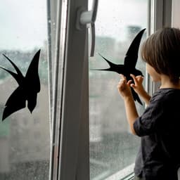 image-50% OFF - 25-Pack Black Bird Deterrent Window Decals - Anti-Collision Cling Stickers